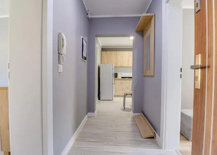 3b Neu Renoviert 3 Zi Whg 5 Betten 43,36m * شفيدت